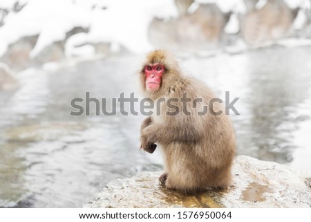 Image, Stock Photo Japanese Onsen