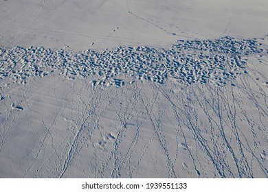 Animals roe deers tracks on winter snowy rapeseed field, aerial view
