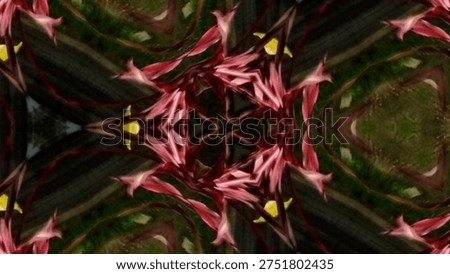 ‎High-quality animation of colorful nature-based repeating patterns. Suitable for motion graphics, VJ loops, or digital. Fractals, Infinite Loops, Symmetry, Backgrounds, Motion Graphics, VJ Loops, Visuals, Trippy, Textures.
‎