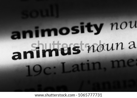 animus word in a dictionary. animus concept.