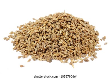 Anise Seeds Spice (Pimpinella Anisum)