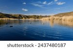 Ankara Eymir lake. View of the lake covered with reeds. Clouds reflected from the lake surface. Blue sky and lake view. The focus is on the front.