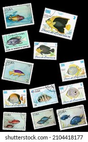 Ankara, Turkey - 01,11,2022: A Cuba postage stamp collage shows fishes with 12 stamps.