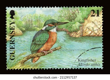 Ankara, Turkey - 01,24,2022: A Guernsey postage stamp shows Kingfisher bird. Circa 2001