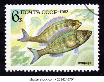 Ankara, Turkey - 26 July 2021: An USSR Postage Stamp Shows Fish In  Fauna. Circa 1983...