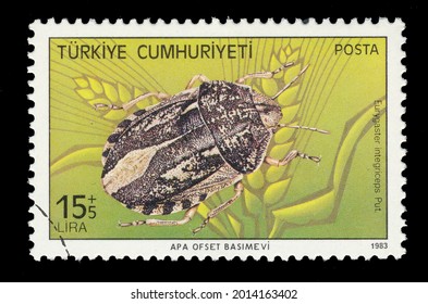 Ankara, Turkey - 26 July 2021: A Republic Of Turkey Postage Stamp Shows Insect. Circa 1983... 