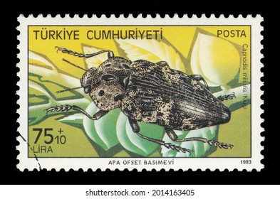 Ankara, Turkey - 26 July 2021: A Republic Of Turkey Postage Stamp Shows Insect. Circa 1983... 