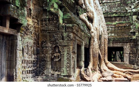 Ankor Wat Cambodia