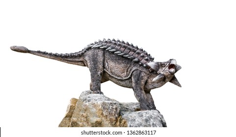 ankylosaurus herbivore