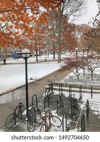 Ann Arbor, Michigan - November 16, 2018: First snow with autumn leaves