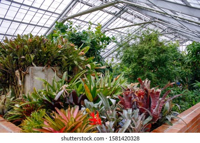 Ann Arbor, Michigan / United States - March 16, 2019: There Are Many Plants To Spend Time With At The Matthaei Botanical Gardens, University Of Michigan. This View Is From The Upper Level.