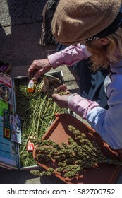 ANN ARBOR, MI/USA – APRIL 7, 2017: Man Sits On The Curb On Monroe Street Rolling Joints For People Passing By At Ann Arbor's Hash Bash Festival. 