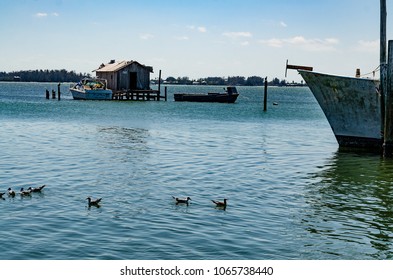 Anna Maria Island Harbor