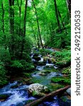 Anna Ruby Falls and creek in the state of Georgia, USA