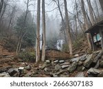 Anna Ruby Falls in Helen, GA