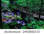 Anna Ruby Falls and smith creek in the state of Georgia, USA