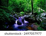 Anna Ruby Falls and smith creek in the state of Georgia, USA