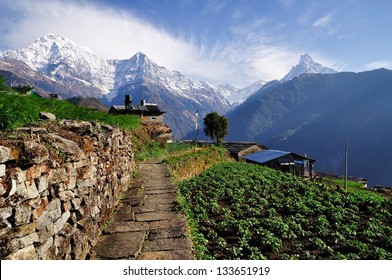 Annapurna Mountain View From Village