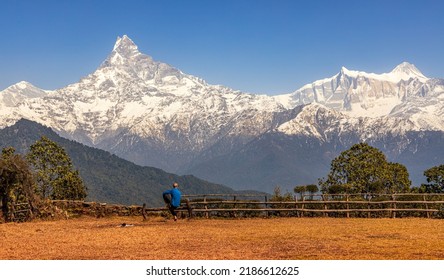 Annapurna Range View From The Australian Camp. Mt. Fishtail And Annapurna II.