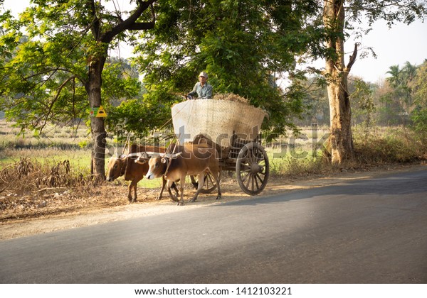 Ann/Myanmar-07.03.2017:Man riding on the cart by 2\
buffalos on the\
road
