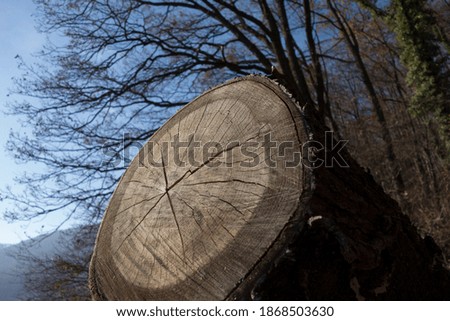 Similar – Holz vor der Hütte Umwelt