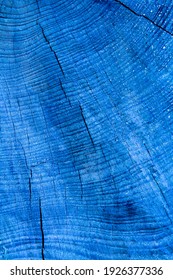 Annual Rings; Growth Ring; Wood Ring, Blue Colored Background