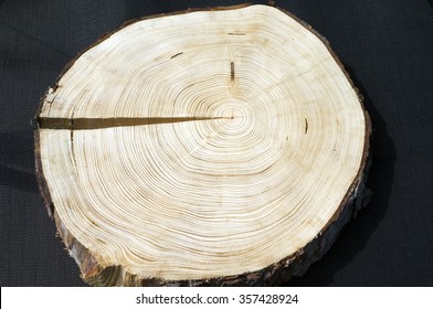 Annual rings; tree grate