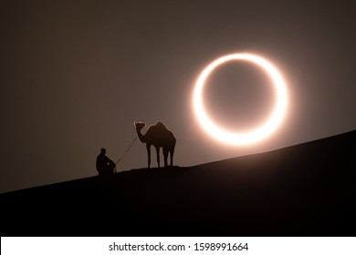 Annular solar eclipse in desert and silhouette dromedary camel  Liwa desert  Abu Dhabi  United Arab Emirates 