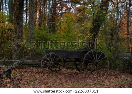Ano old wagon surrounded by autumn leaves in the Blue Ridge Parkway in Virginia.