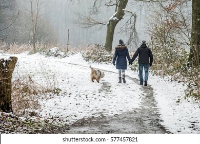 Anonymous Couple Walking Their Dog Through Winter Woodland