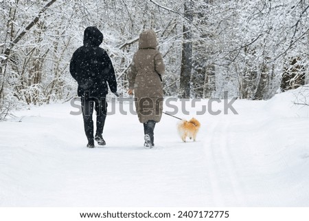 An anonymous couple walks through a snowy forest in the snow with a dog. walking the dog in winter. close-up