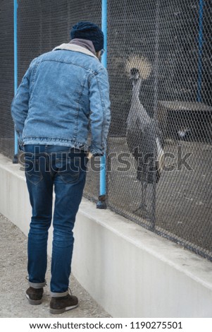 Anonymous guy back to camera in front of an exotic bird in a cage, staring at each other.