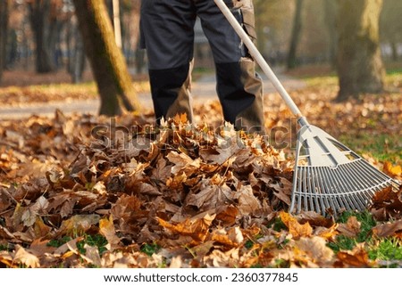 Similar – Image, Stock Photo Male gardener raking the the flower bed while the collegue is sweeping the terrace in summer