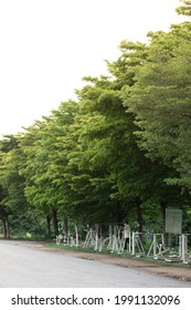 Anonymous Woman Exercise At Morning During Covid-19 Lockdown Situation In Thailand