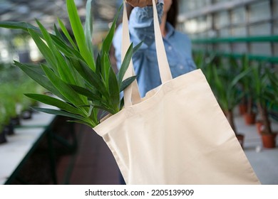 Anonymous Woman Holding Eco Friendly Cotton Bag With Copy Space And Palm Yucca In It.Concept Of Plants Shopping.