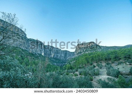 Similar – Image, Stock Photo ray of hope trees Shadow