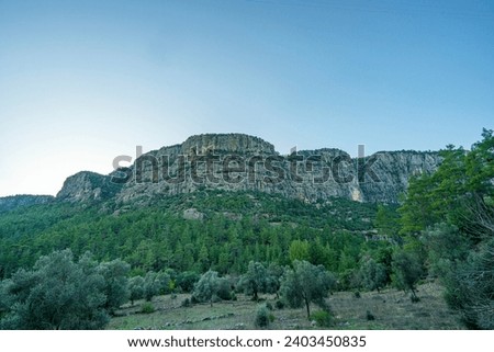 Similar – Image, Stock Photo ray of hope trees Shadow