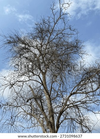 Another view of the sky