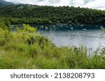 Anse a la Barque, Basse-Terre, Guadeloupe, Lesser Antilles, Caribbean.