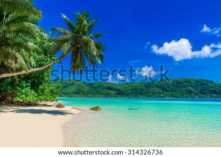 Anse a La Mouche - Paradise beach in Seychelles, Mahé