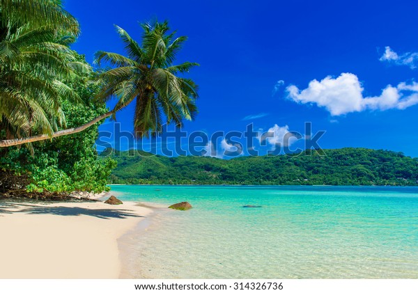 Photo De Stock De Anse La Mouche Paradise Beach Seychelles