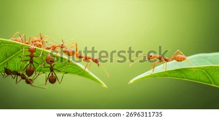 Ant action standing. Ant bridge unity team