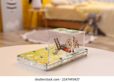 Ant Farm (formicarium) On White Wooden Table