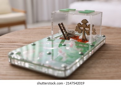 Ant Farm (formicarium) On Wooden Table. Myrmecology