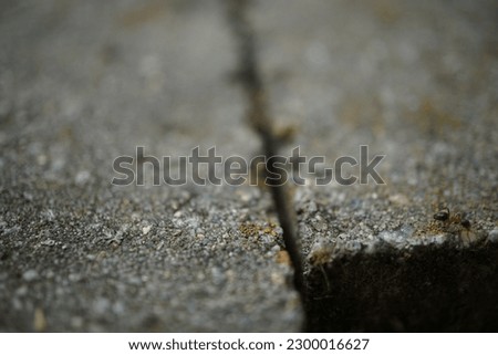 Similar – Cracks in asphalt Pothole