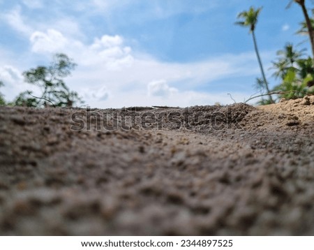 Ant perspective view in the beach