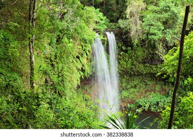 At Antakarana Falls, Amber Mountains Park, Madagascar