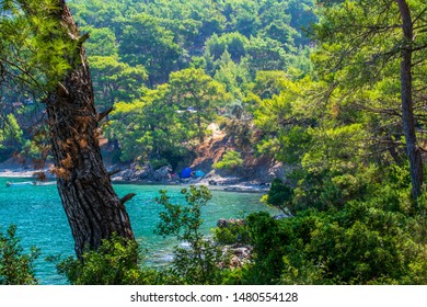 Antalya, Kumluca / Turkey - July 29, 2019 : Camping area inside the woods near Korsan Koyu (meaning Pirate Cove, one of the famous coves of Turkey) - Shutterstock ID 1480554128