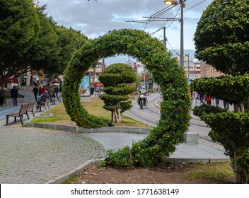 
Antalya, Turkey, 2019: An interesting topiary which is a ring from the right angle