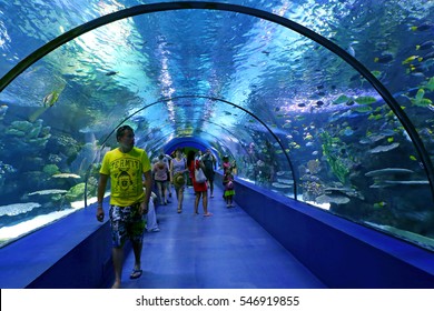 tunnel aquarium images stock photos vectors shutterstock